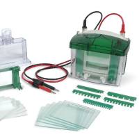 Mini-PROTEAN Tetra Cell 电泳槽套装