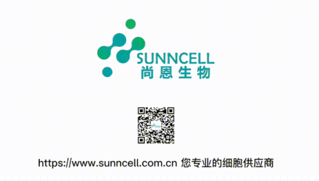 教你2种培养细胞纯化的方法