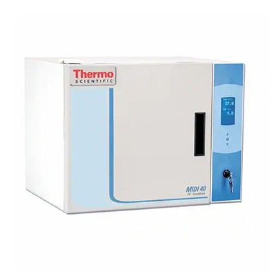 Thermo Forma 3404 Midi 40 小容量 二氧化碳培养箱