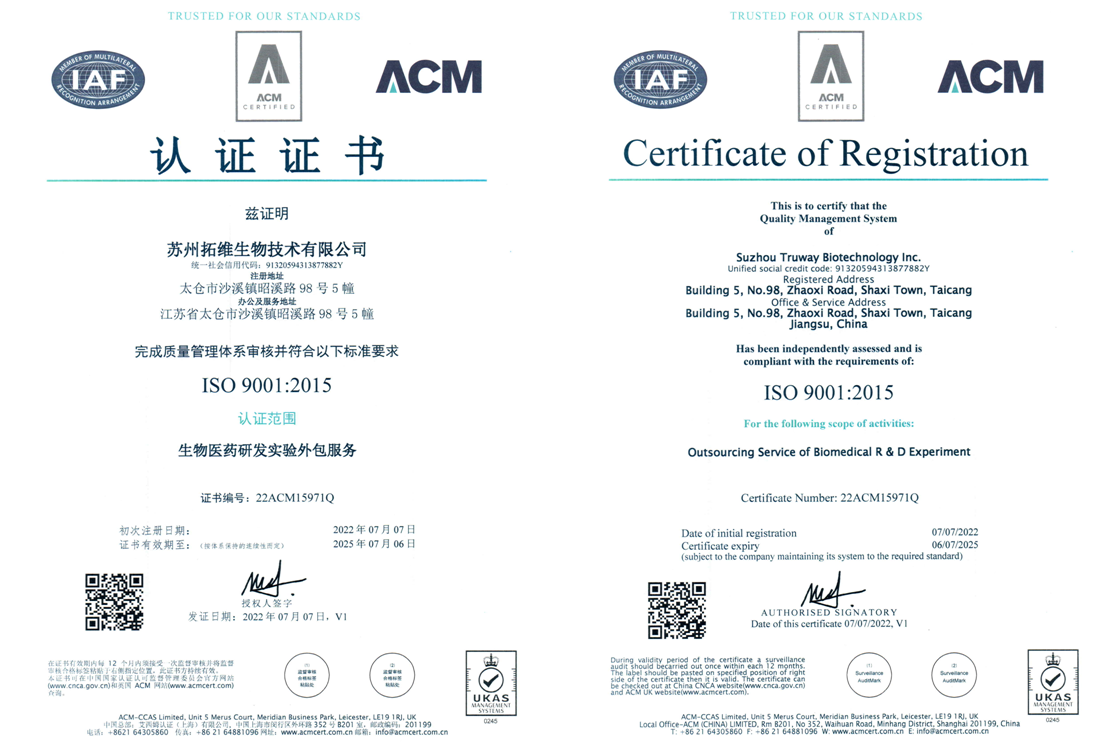 拓维顺利通过ISO 9001：2015认证
