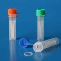 酪蛋白激酶1γ2/casein kinase Iγ1抗体 