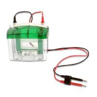 Mini-PROTEAN Tetra 电泳槽（4 胶）