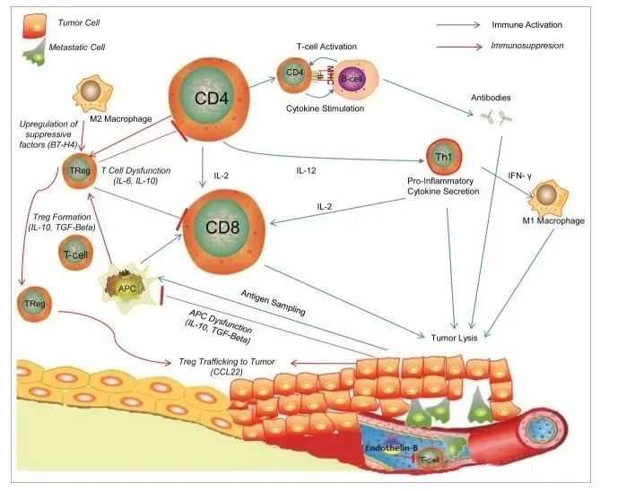 生物标志物检测在癌症治疗研究中的应用