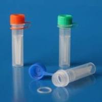 钙激活氯离子通道4蛋白抗体