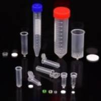 双皮层蛋白结构域蛋白DCDC2抗体 