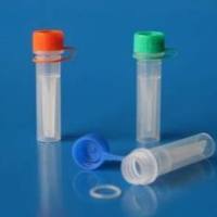 肿瘤/睾丸抗原26抗体