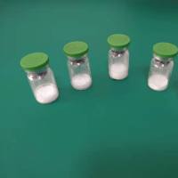 猪蓝耳阳性血清说明书