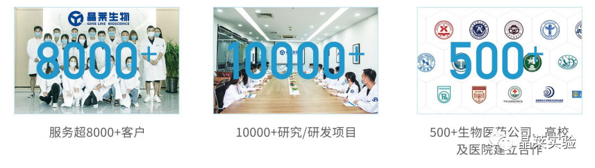 国自然热点细胞焦亡研究之 “肿瘤抑制因子 DRD2 促进 M1 巨噬细胞并限制 NF-κB 信号传导以触发乳腺癌中的焦磷酸化”