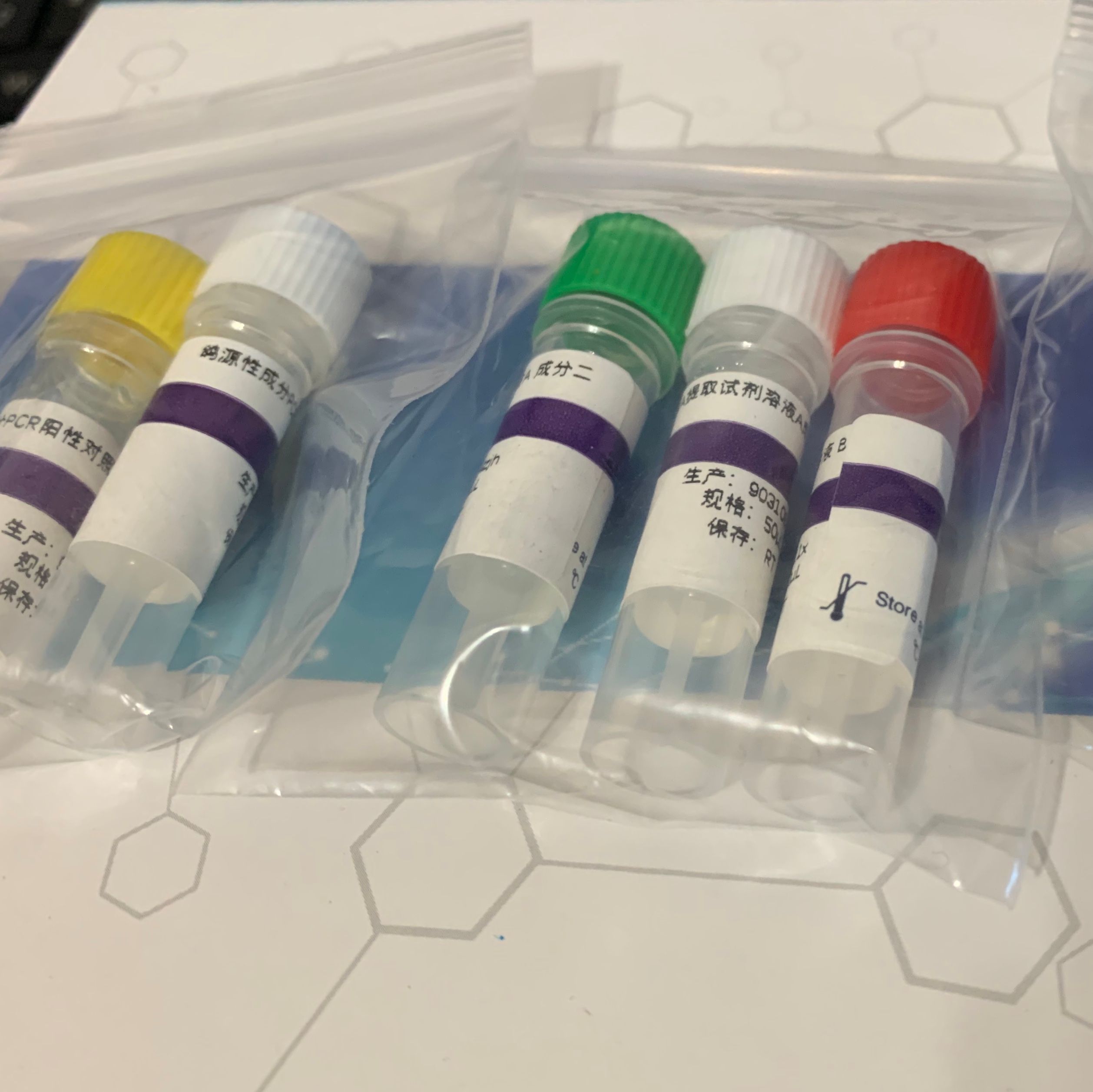 枯草芽孢桿菌核酸檢測試劑盒（恒溫熒光法）