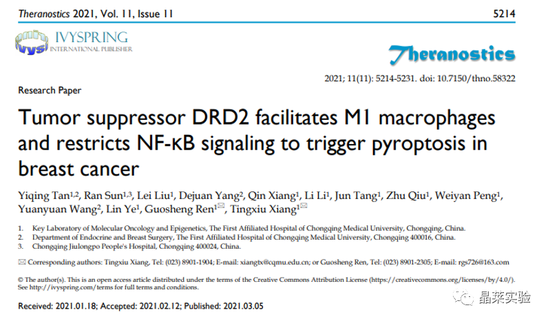 国自然热点细胞焦亡研究之 “肿瘤抑制因子 DRD2 促进 M1 巨噬细胞并限制 NF-κB 信号传导以触发乳腺癌中的焦磷酸化”