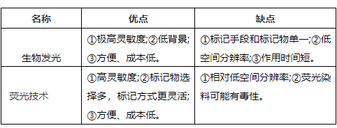 小动物活体成像的应用