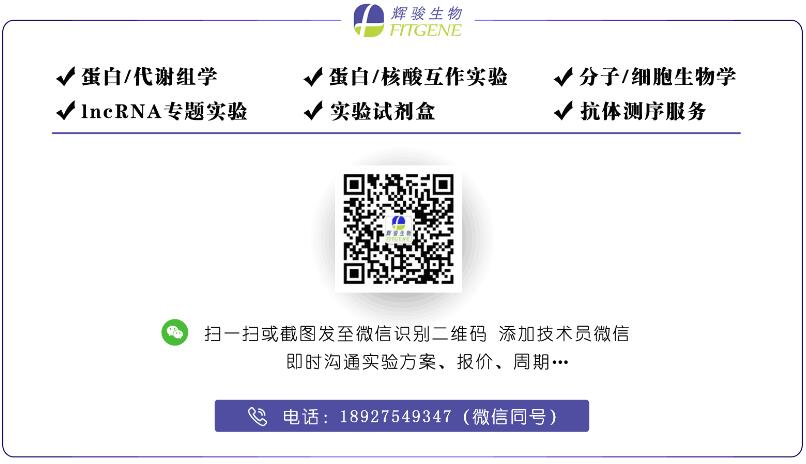 染色质免疫沉淀ChIP实验操作-ChIP技术服务流程-辉骏生物