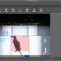 泰盟 PMT-200高架十字迷宫视频分析系统