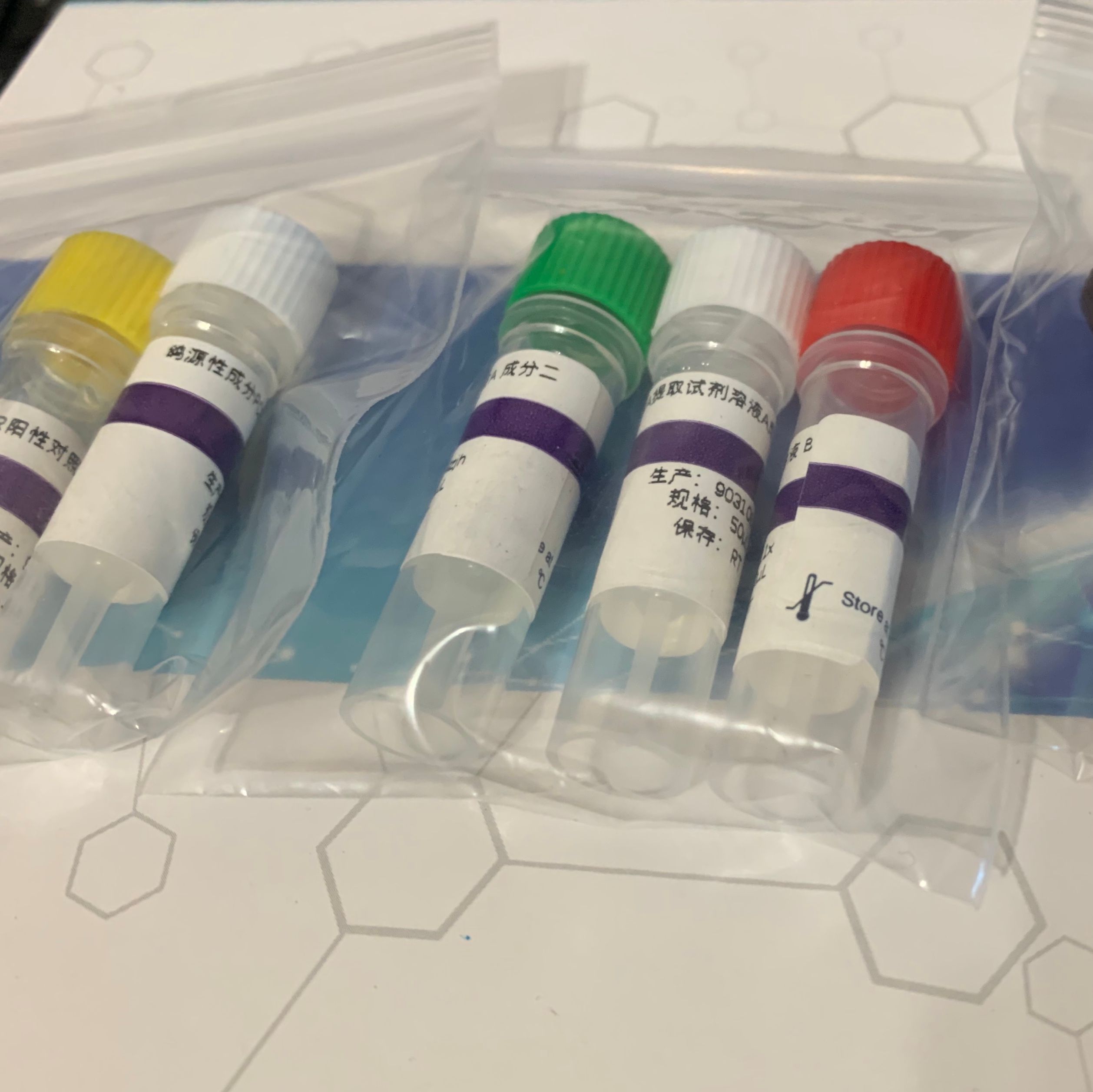 金黄色-葡萄球菌核酸检测试剂盒（带内参，PCR-荧光探针法）