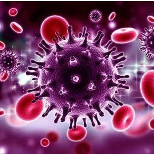 小鼠抗新冠病毒S蛋白IgG亚型抗体ELISA检测试剂盒