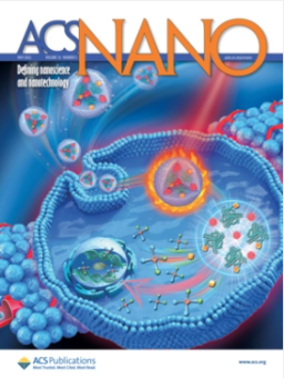 小动物活体成像的应用