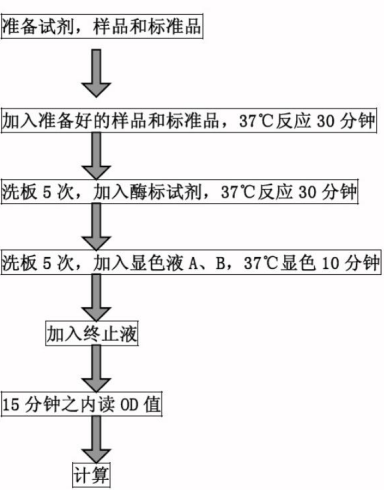 技术资料图片3