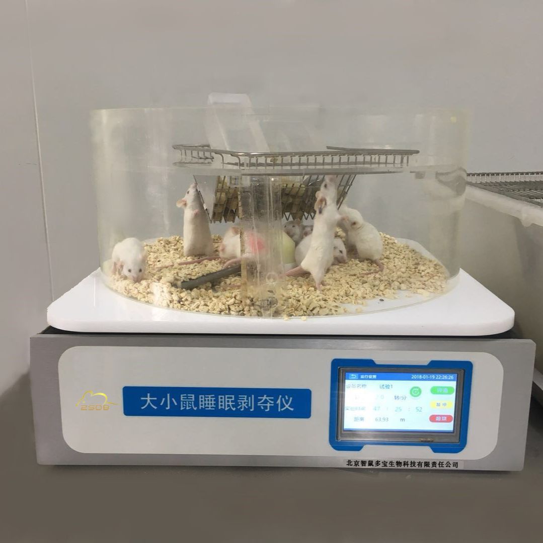 DB036X型大小鼠睡眠剥夺仪，小动物睡眠剥夺实验系统，老鼠睡眠剥夺实验