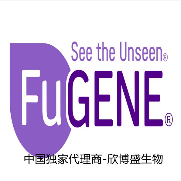 FuGENE® 6 Transfection Reagent/FuGENE® 6 DNA 转染试剂，F6-1000