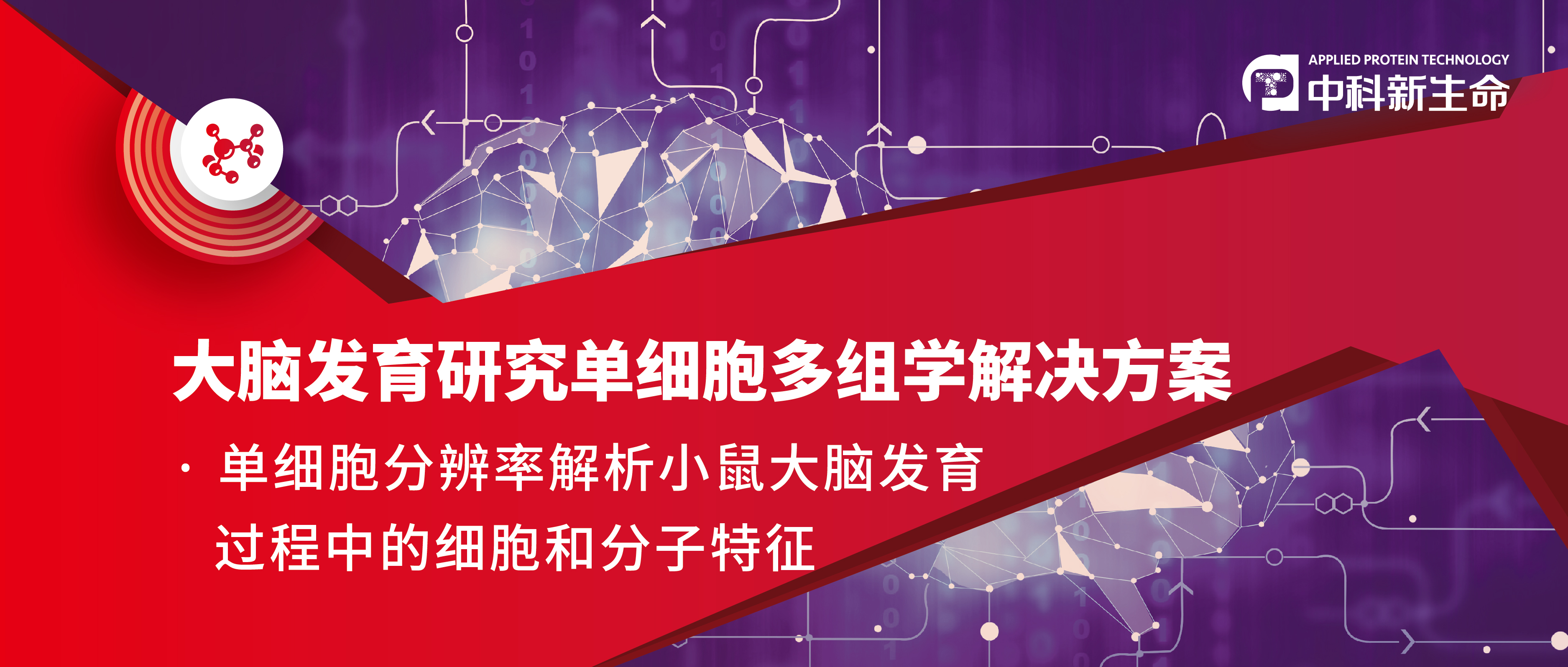Nature重磅！单细胞转录组助力揭示发育中小鼠大脑的分子结构特征