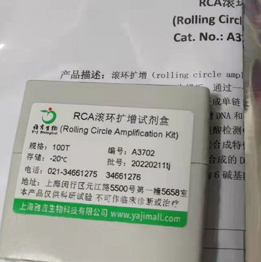 RCA滚环扩增试剂盒