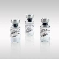 优质级抗原多肽库 PepTivator® CMV pp65