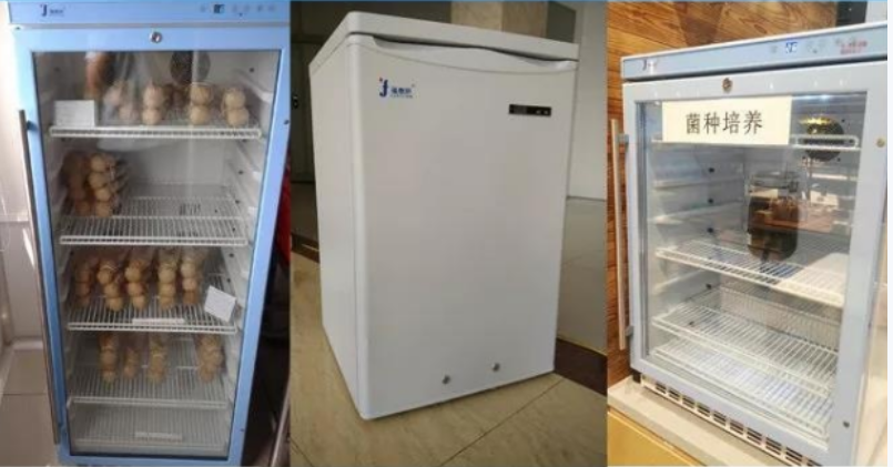 详述微生物菌种的保存