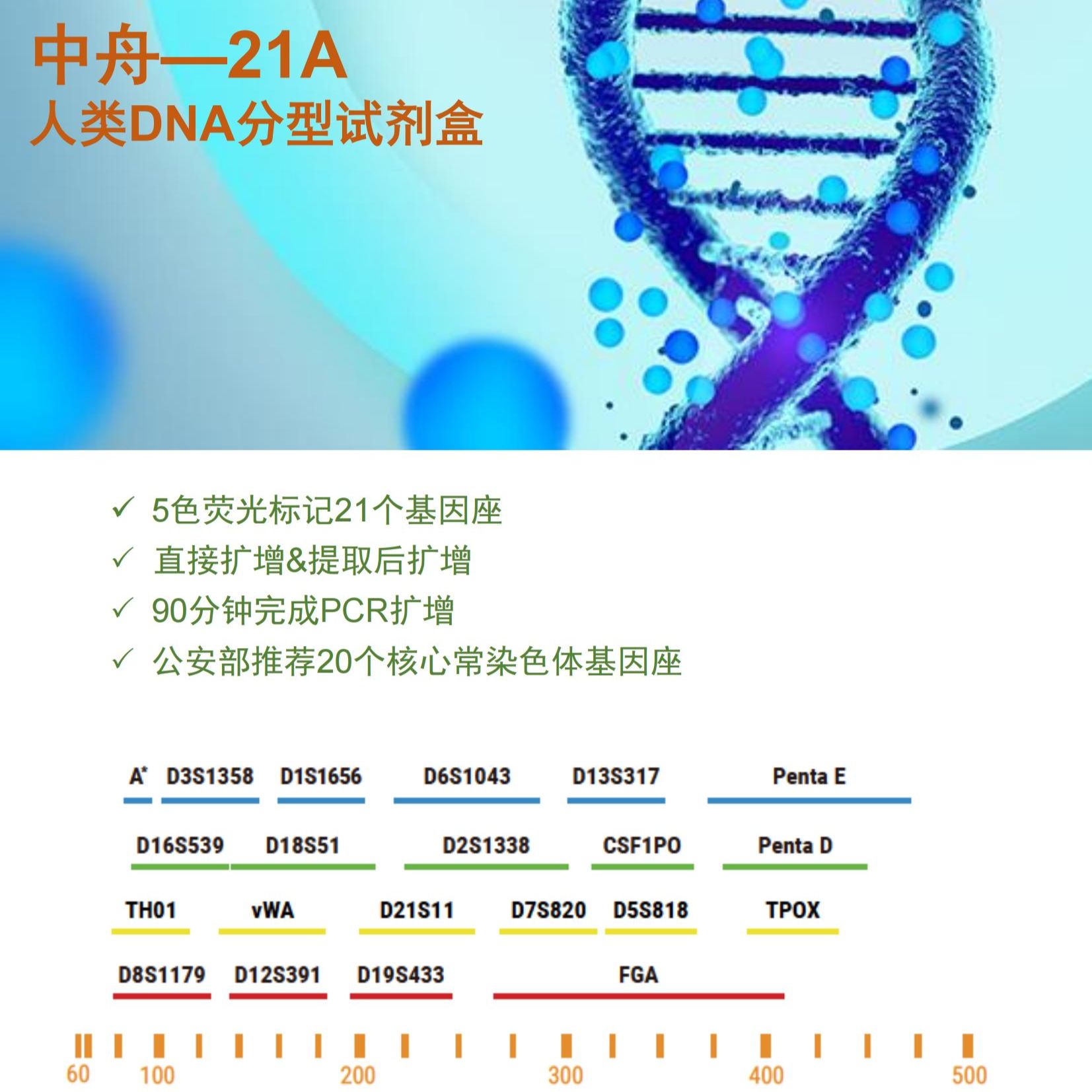 21A 人类DNA分型试剂盒
