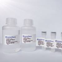 Biozellen®3D细胞培养基质胶套装