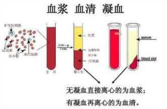 特级胎牛血清（碳吸附过滤）