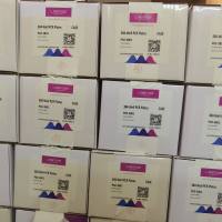 LabTide货号P02-3801现货0.1ml白色384孔PCR板(全裙边)双切角13611631389上海睿安生物