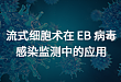 <strong>沈红强</strong> 浙大儿童医院实验检验中心