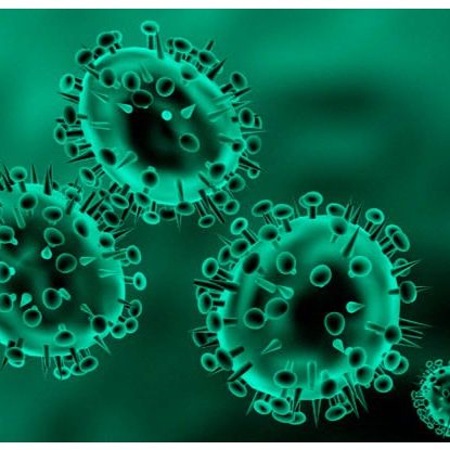粒细胞-巨噬细胞克隆刺激因子抗体 