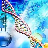 定制包裹荧光染料的免疫脂质体/空白脂质体/阳离子脂质体/靶向脂质体