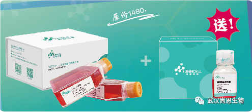 冰爽一夏 | 活动商品限时优惠中...