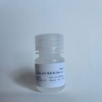 牛血清白蛋白 BSA-Ⅴ