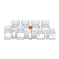 FastPure EndoFree Plasmid Mini Kit（盒适用于提取1 - 5 ml