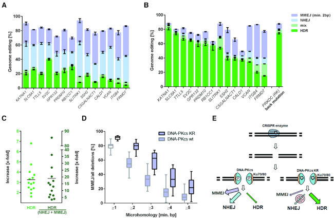 在人类细胞中同时精确编辑多个基因及筛选单克隆细胞的方法