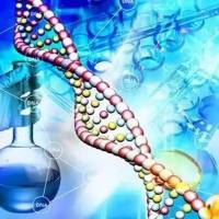 NGR靶向多肽修饰的脂质体的制备NGR-PEG-DSPE