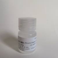 蛋白酶K*麦格*M1891-100mg
