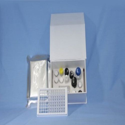 阿留申病毒PCR检测试剂盒