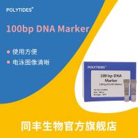100 bp DNA Marker