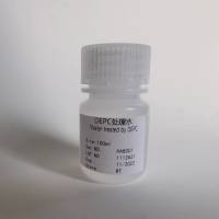 DEPC处理水