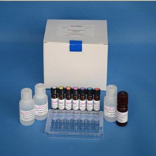 非洲猪瘟病毒PCR检测试剂盒