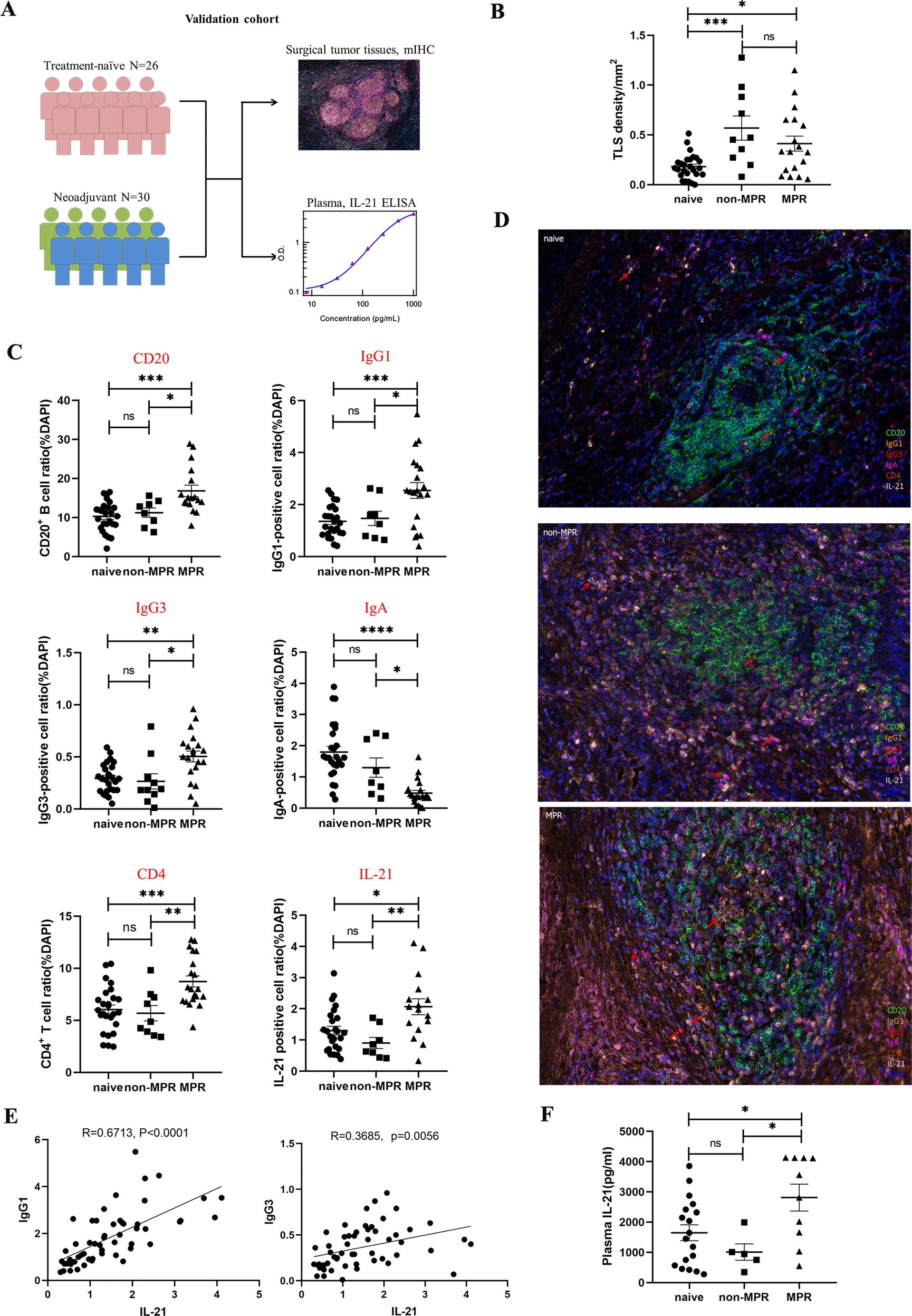 免疫治疗新热点| 新辅助化疗对非小细胞肺癌三级淋巴结构的影响