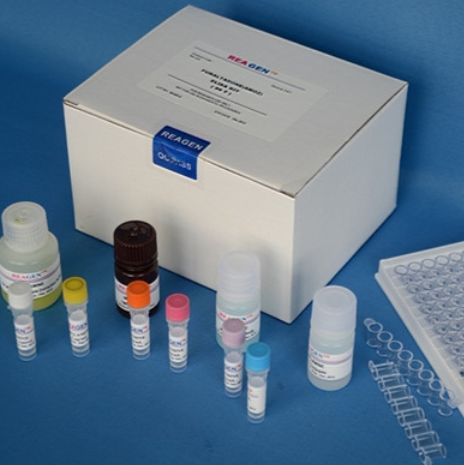 人免疫球蛋白G Fc段受体Ⅲ(FcγRⅢ/CD16)ELISA Kit 
