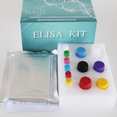 人CX3C趋化因子受体1(CX3CR1)ELISA Kit