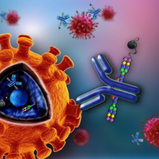 黑色素瘤抑制活性蛋白2抗体