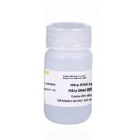 DEAE弱阴离子高速交换树脂(DEAE Agarose 6FF) DEAE琼脂糖凝胶