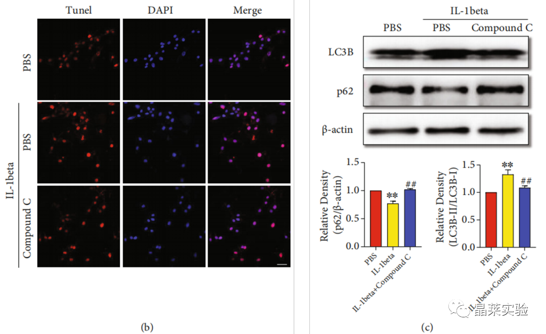 技术资料图片15